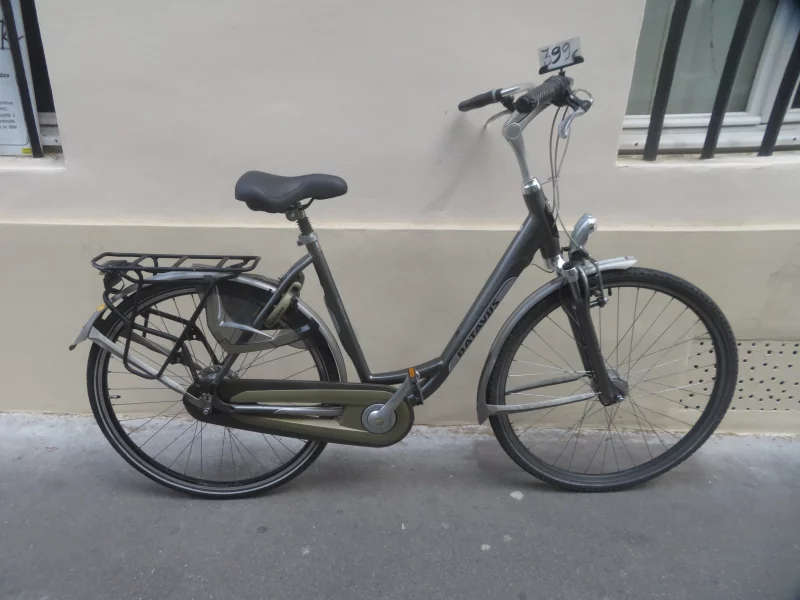 Vélo De Ville Femme Batavus Monaco E Go