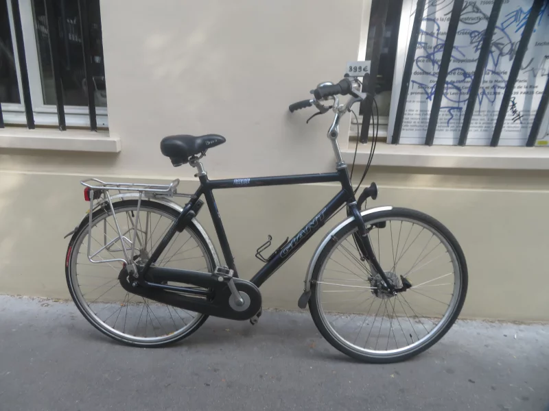 Vélo de ville Homme Giant Freerider