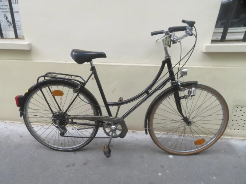 Vélo De Ville femme Raleigh