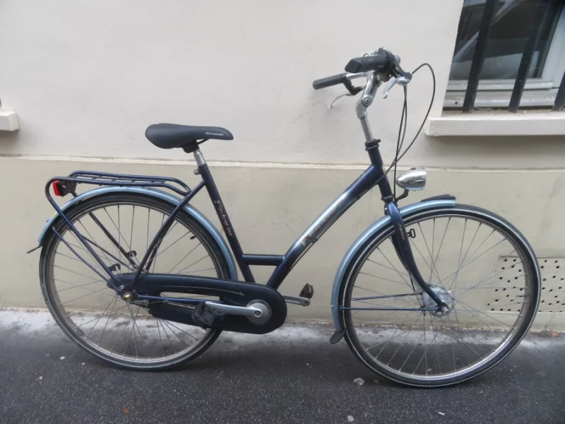 Vélo De Ville Femme Pointer