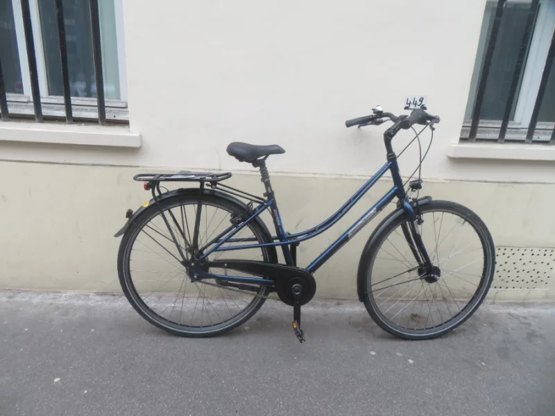 V&eacute;lo De Ville Femme Pemium A250
