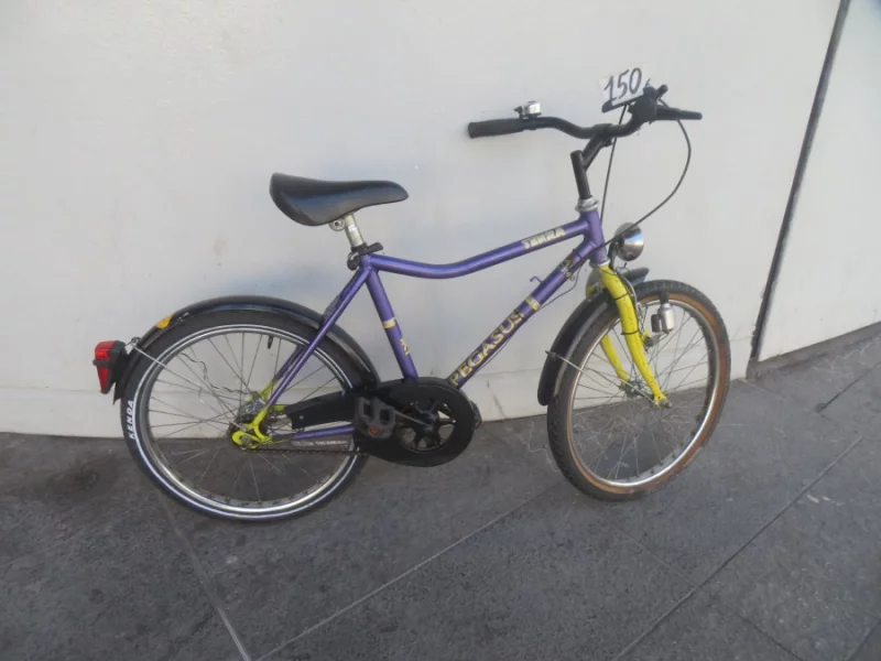 V&eacute;lo De Ville Enfant Pegasus Terra