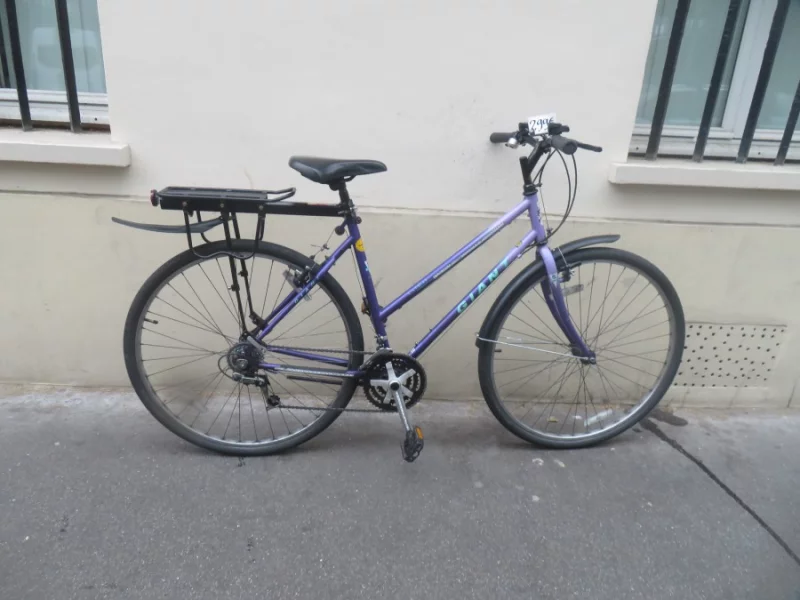 V&eacute;lo VTC Femme Giant Catay