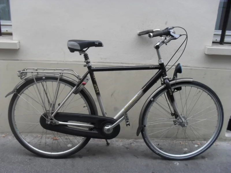 V&eacute;lo R&eacute;tropedalage Homme Koga Miyata LitAce